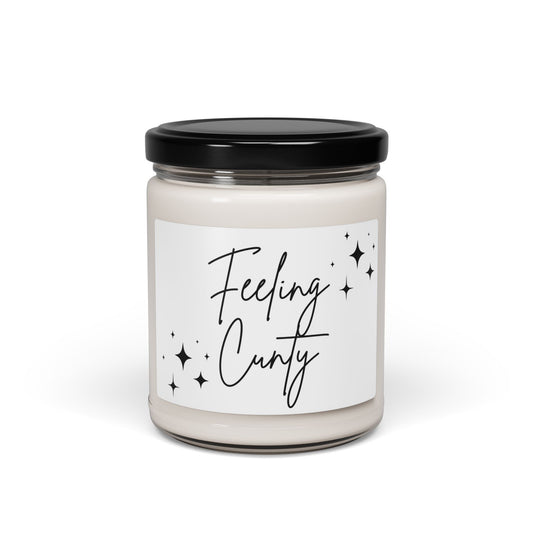 Soy Candle, Feeling Cunty Candle, Funny Candle, 9oz Candle, Cunt Candle, Gift for Friend, Rude Candle, Offensive Candle, Mature Candle